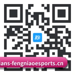 系统版 iOS 二维码