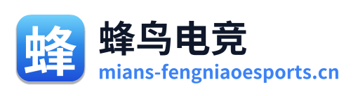 蜂鸟电竞